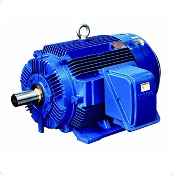  Gear Motor TECO Squirrel Cage Induction Motor