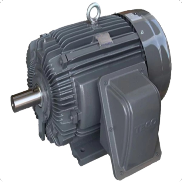 Gear Motor TECO Three Phase Induction Motor Gear Motor TECO Three Phase Induction Motor